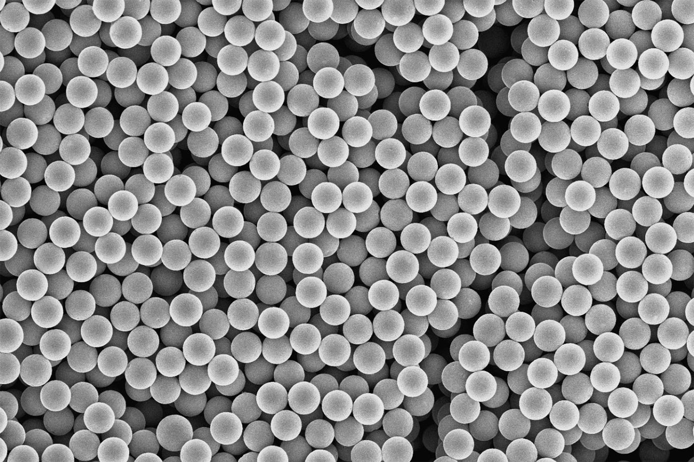 Scanning electron micrograph of iSpheres microspheres: a dense field of identical spheres